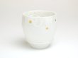 画像1: 【有田焼匠の蔵】SAKE GLASS　結（丸） (1)